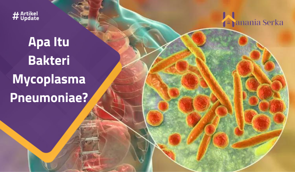 You are currently viewing Apa Itu Bakteri Mycoplasma Pneumoniae?
