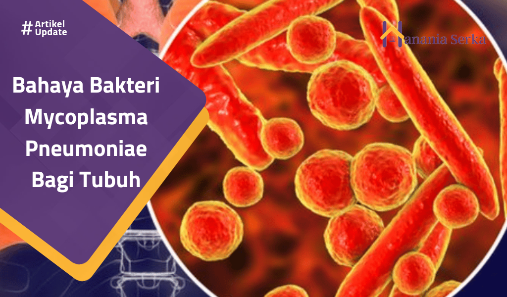 You are currently viewing Bahaya Bakteri Mycoplasma Pneumoniae Bagi Tubuh