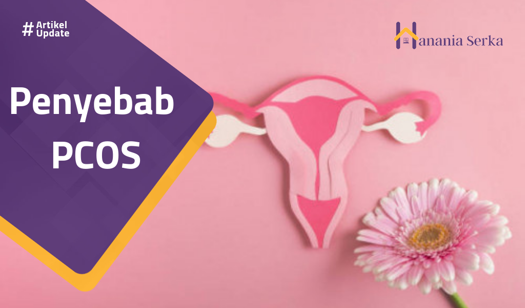 You are currently viewing Penyebab PCOS