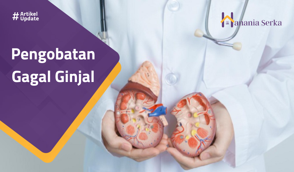 Read more about the article Pengobatan Gagal Ginjal