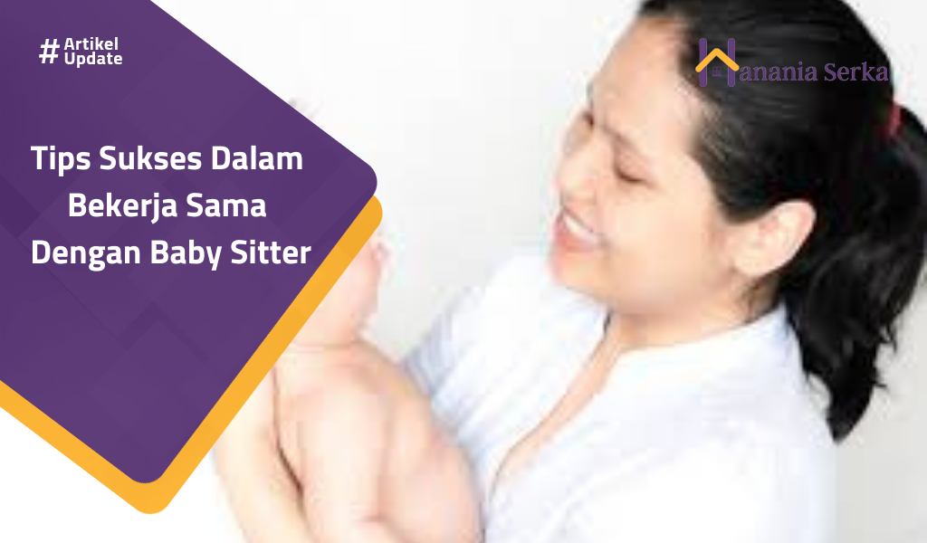 You are currently viewing Tips Sukses Dalam Bekerja Sama Dengan Baby Sitter
