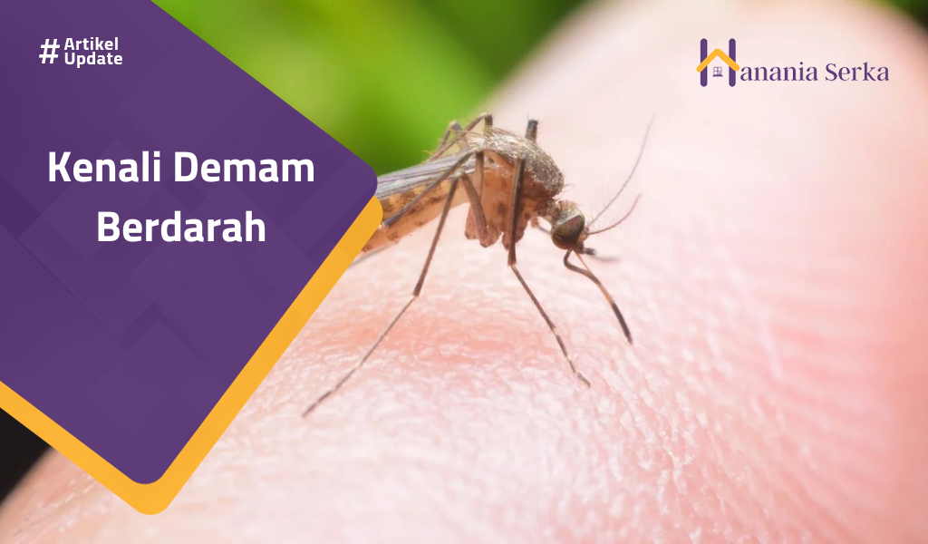 Read more about the article Kenali Demam Berdarah