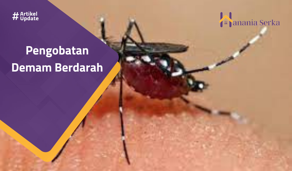 You are currently viewing Pengobatan Demam Berdarah