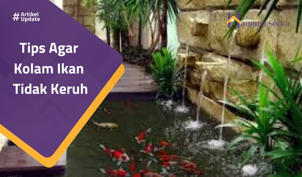 You are currently viewing Tips Agar Kolam Ikan Tidak Keruh