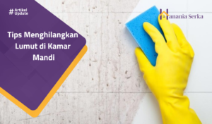 Read more about the article Tips Menghilangkan Lumut Di Kamar Mandi