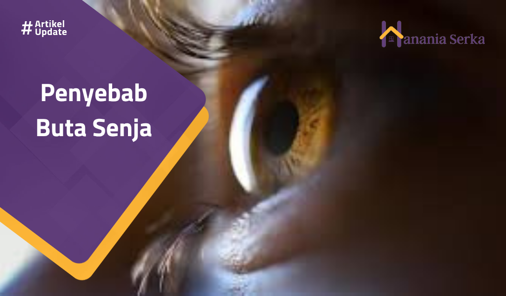 Read more about the article Penyebab Buta Senja