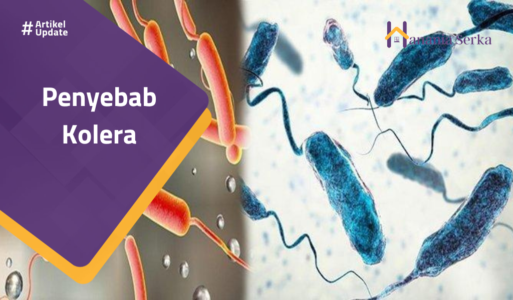 Read more about the article Penyebab Kolera
