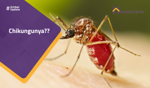 Read more about the article Chikungunya??