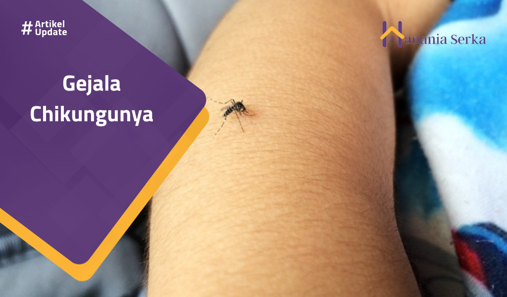 Read more about the article Gejala Chikungunya