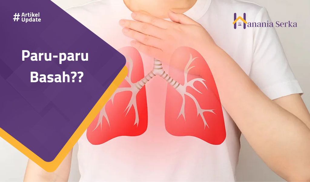 Read more about the article Paru-Paru Basah??
