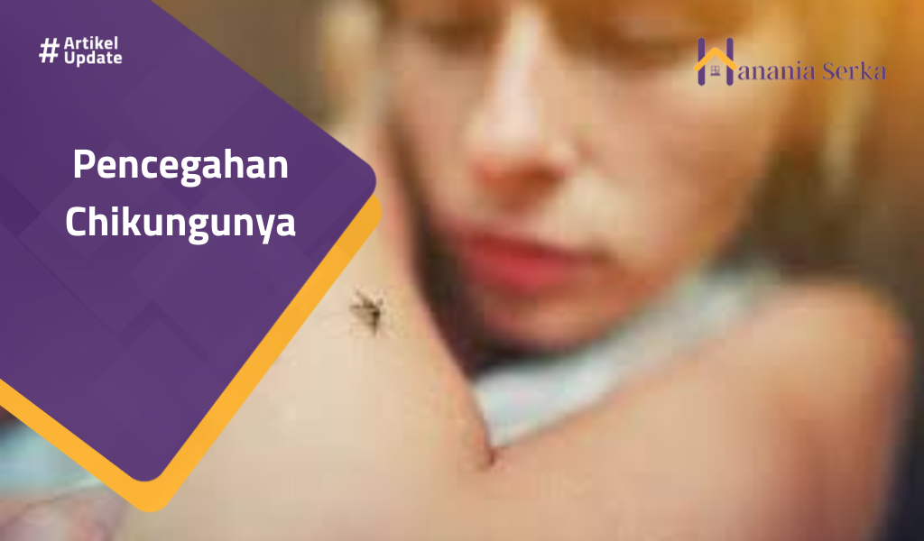 Read more about the article Pencegahan Chikungunya