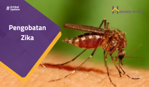 Read more about the article Pengobatan Zika