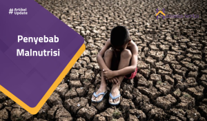 Read more about the article Penyebab Malnutrisi
