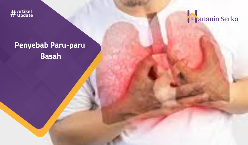 You are currently viewing Penyebab Paru-Paru Basah