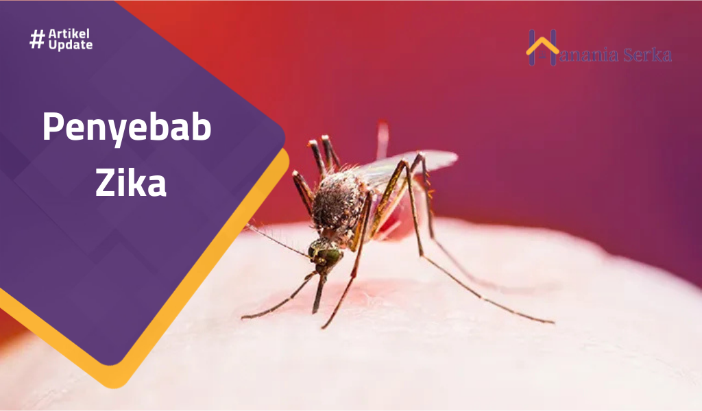 You are currently viewing Penyebab Zika