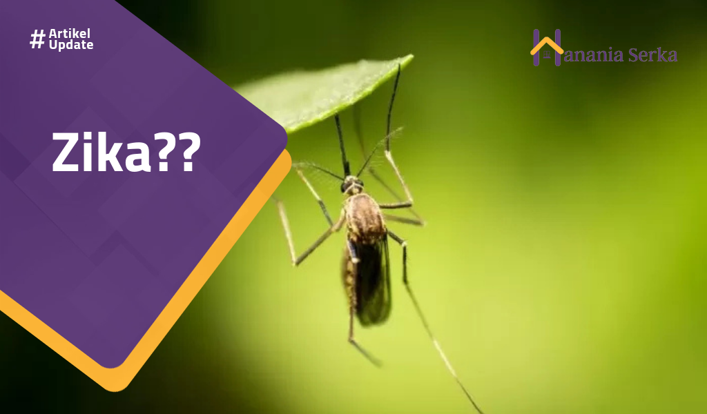 Read more about the article Zika??