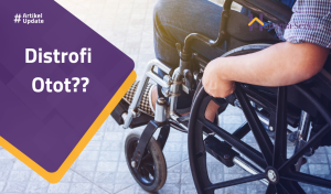 Read more about the article Distrofi Otot??