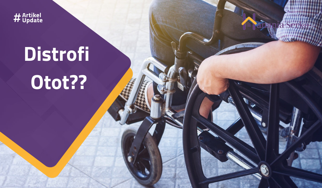 You are currently viewing Distrofi Otot??