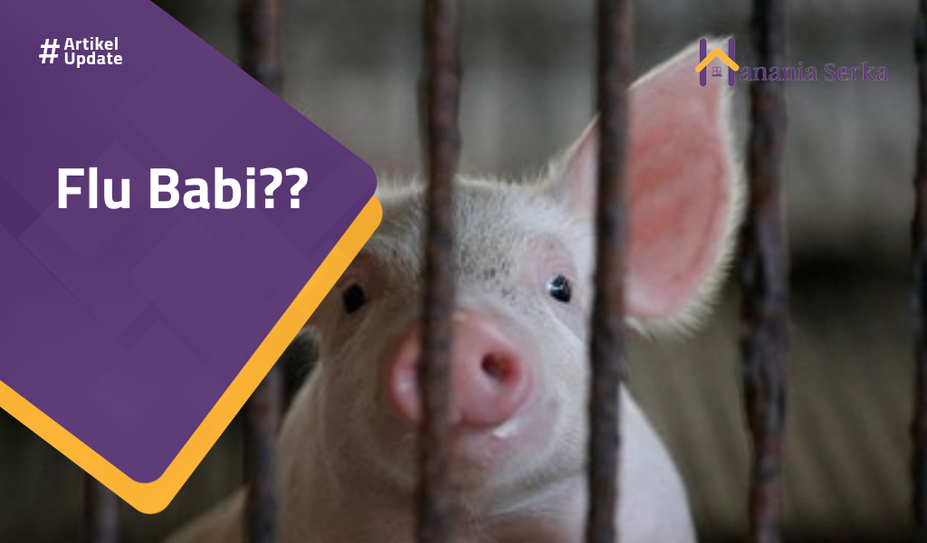 Read more about the article Flu Babi??