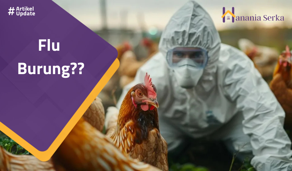 You are currently viewing Flu Burung??