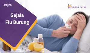 Read more about the article Gejala Flu Burung