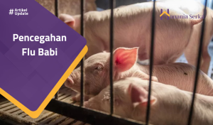 Read more about the article Pencegahan Flu Babi