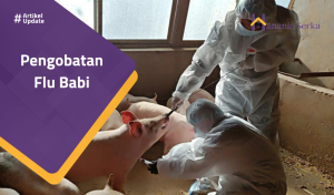 Read more about the article Pengobatan Flu Babi