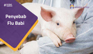 Read more about the article Penyebab Flu Babi