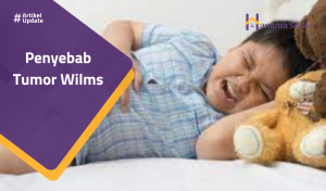 Read more about the article Penyebab Tumor Wilms