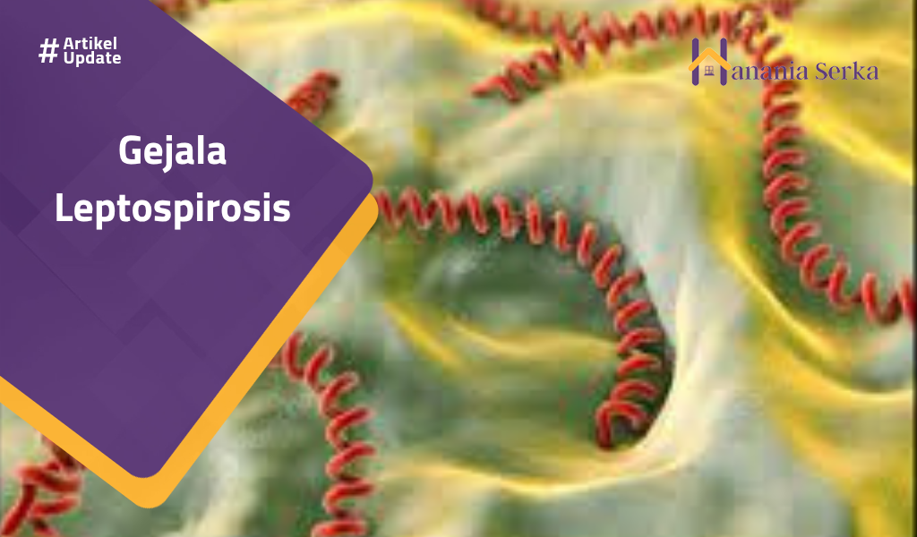 You are currently viewing Gejala Leptospirosis