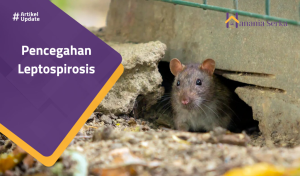 Read more about the article Pencegahan Leptospirosis