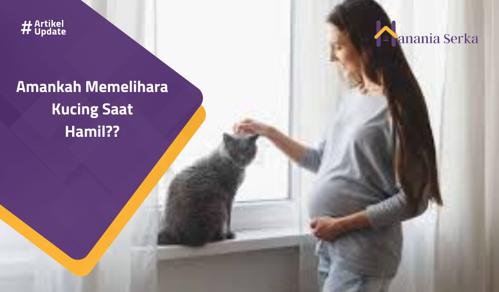 You are currently viewing Amankah Memelihara Kucing Saat Hamil?