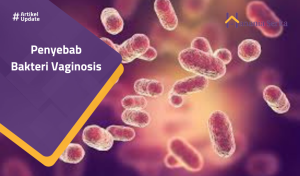 Read more about the article Penyebab Bakteri Vaginosis
