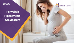Read more about the article Penyebab Hiperemisis Gravidarum