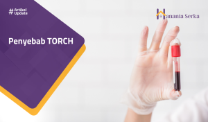 Read more about the article Penyebab TORCH