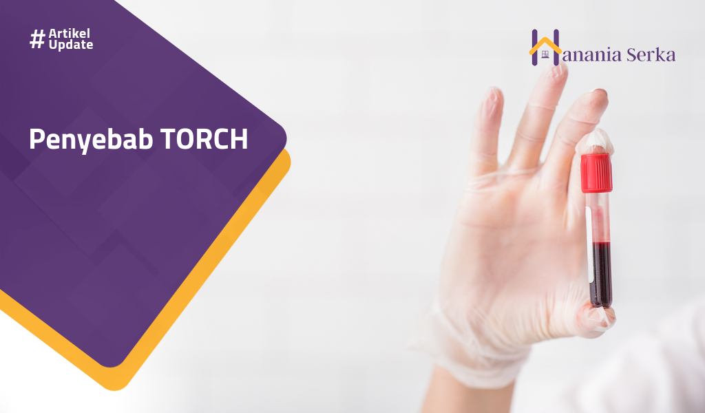 You are currently viewing Penyebab TORCH