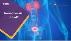 Read more about the article Inkontinensia Urine??
