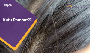 Read more about the article Kutu Rambut??