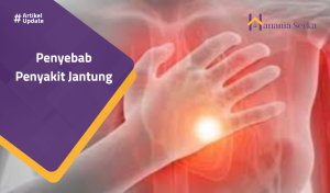 Read more about the article Penyebab Penyakit Jantung