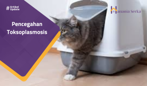 Read more about the article Pencegahan Toksoplasmosis