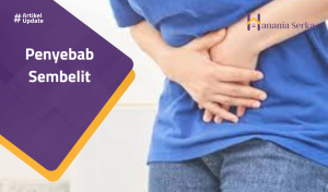 Read more about the article Penyebab Sembelit