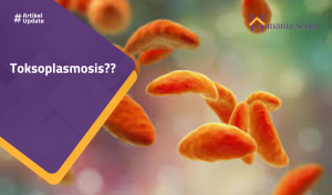 Read more about the article Toksoplasmosis??