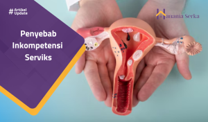 Read more about the article Penyebab Inkompetensi Serviks