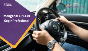 Read more about the article Mengenal Ciri-ciri Sopir Profesional