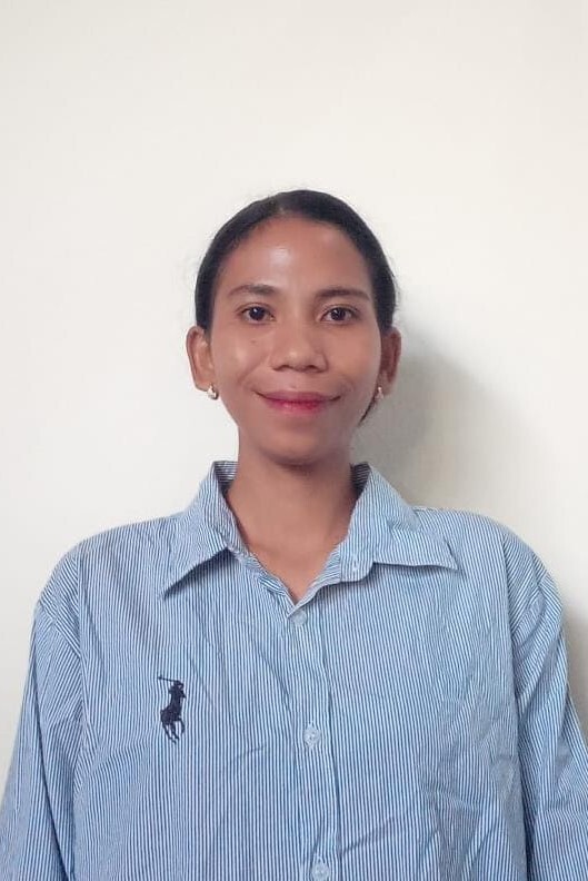 Read more about the article Apliana Holo