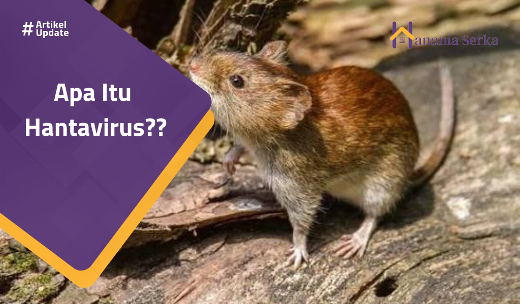 You are currently viewing Apa Itu Hantavirus??