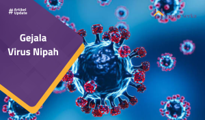 Read more about the article Gejala Virus Nipah