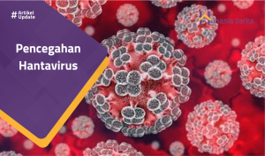 Read more about the article Pencegahan Hantavirus