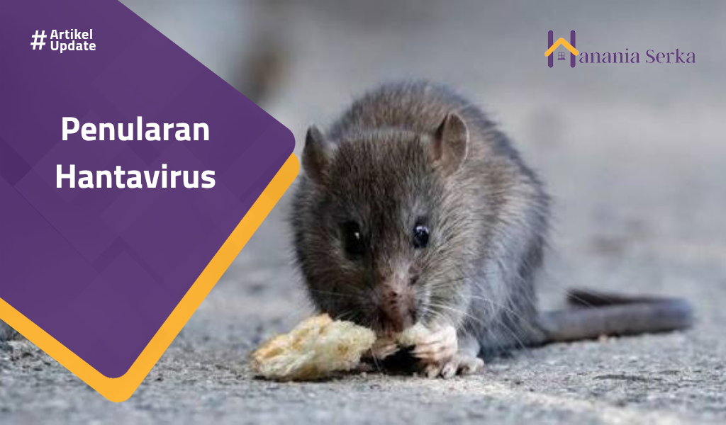 You are currently viewing Penularan Hantavirus