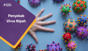 Read more about the article Penyebab Virus Nipah